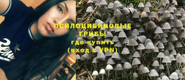трава Вязьма