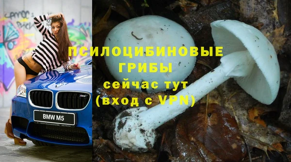 кокаин премиум Вяземский