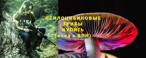 сатива Горняк