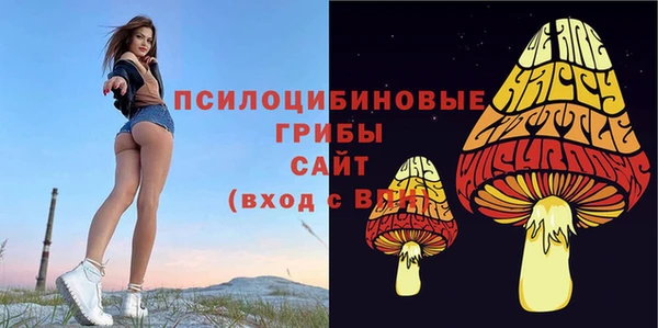 кокаин премиум Вяземский